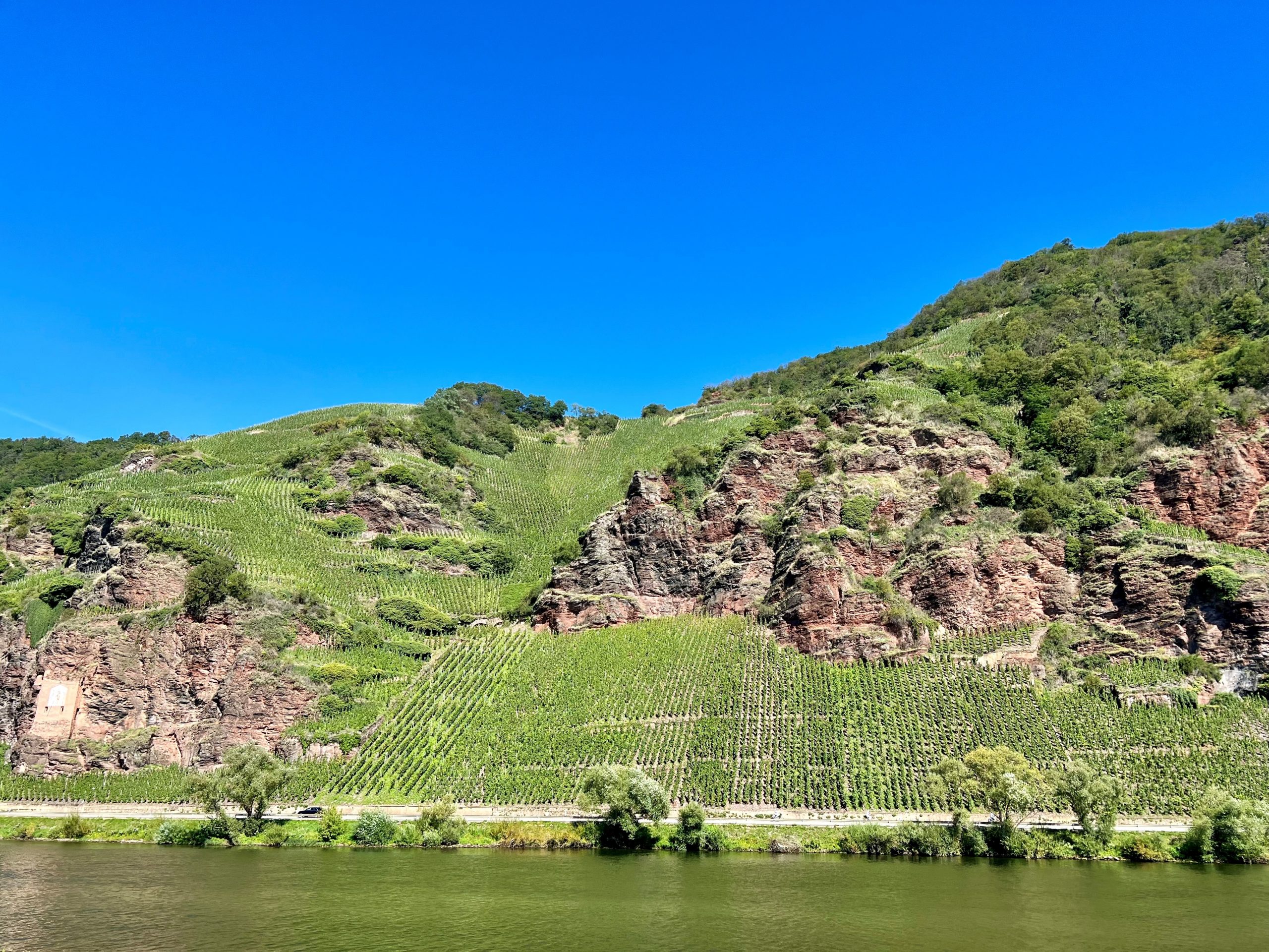 Mindestmostgewicht bei Dornfelder an der Mosel herabgesetzt