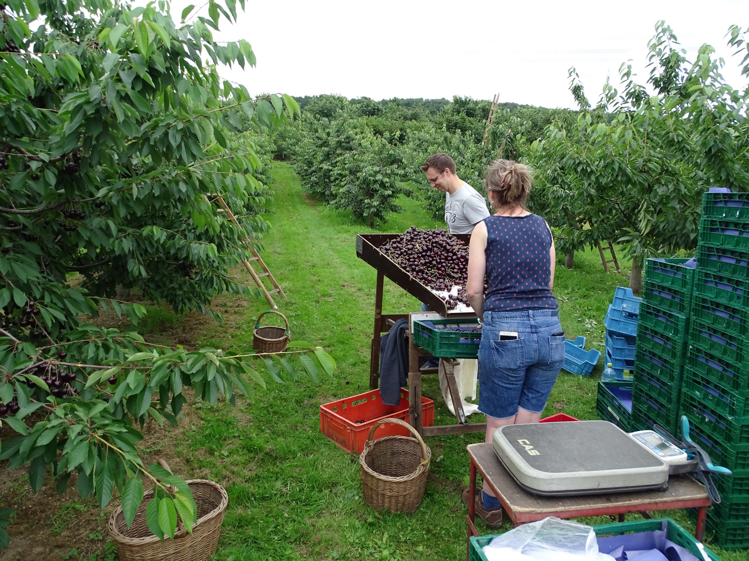 Saisonarbeitskräfteseminar – Darauf müssen Betriebsinhaber achten