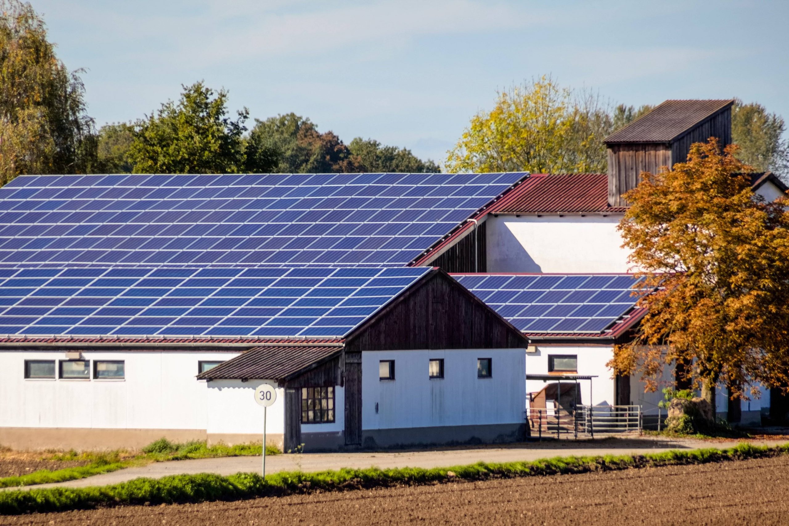 BWV gewinnt Musterverfahren – OVG Koblenz erteilt Beitragspflicht von Landwirten für PV-Anlagen eine klare Absage