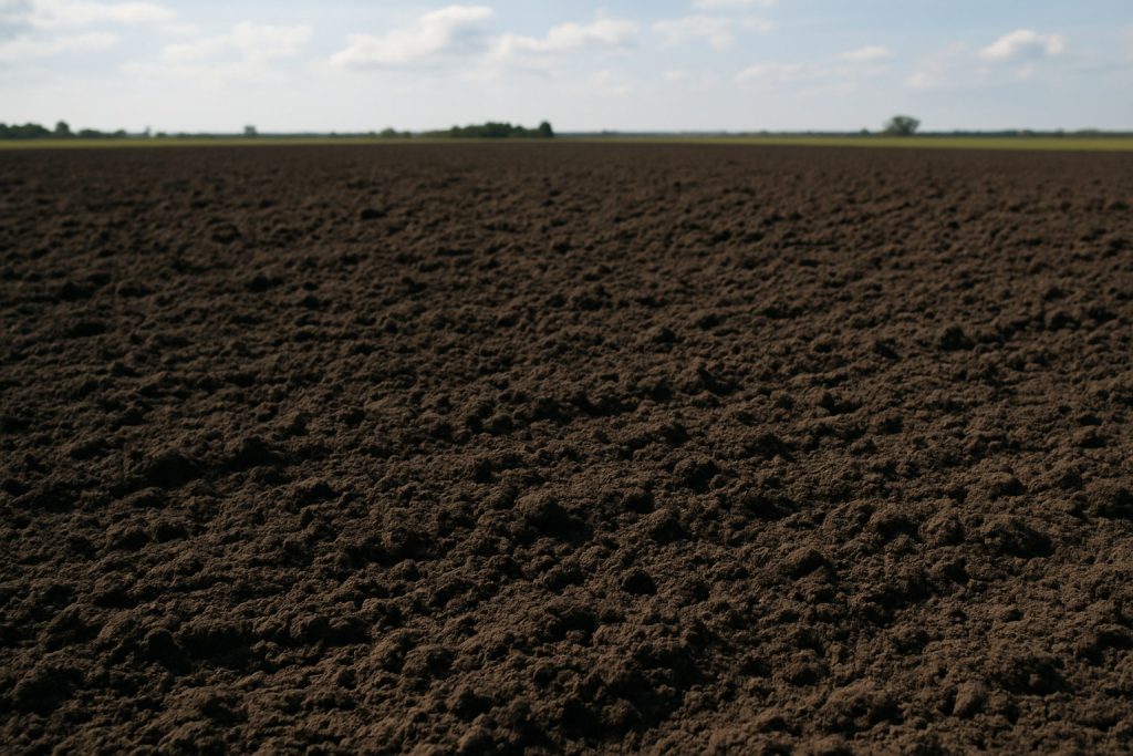 Frisch Gepfluegte Ackerflaeche 1024x683