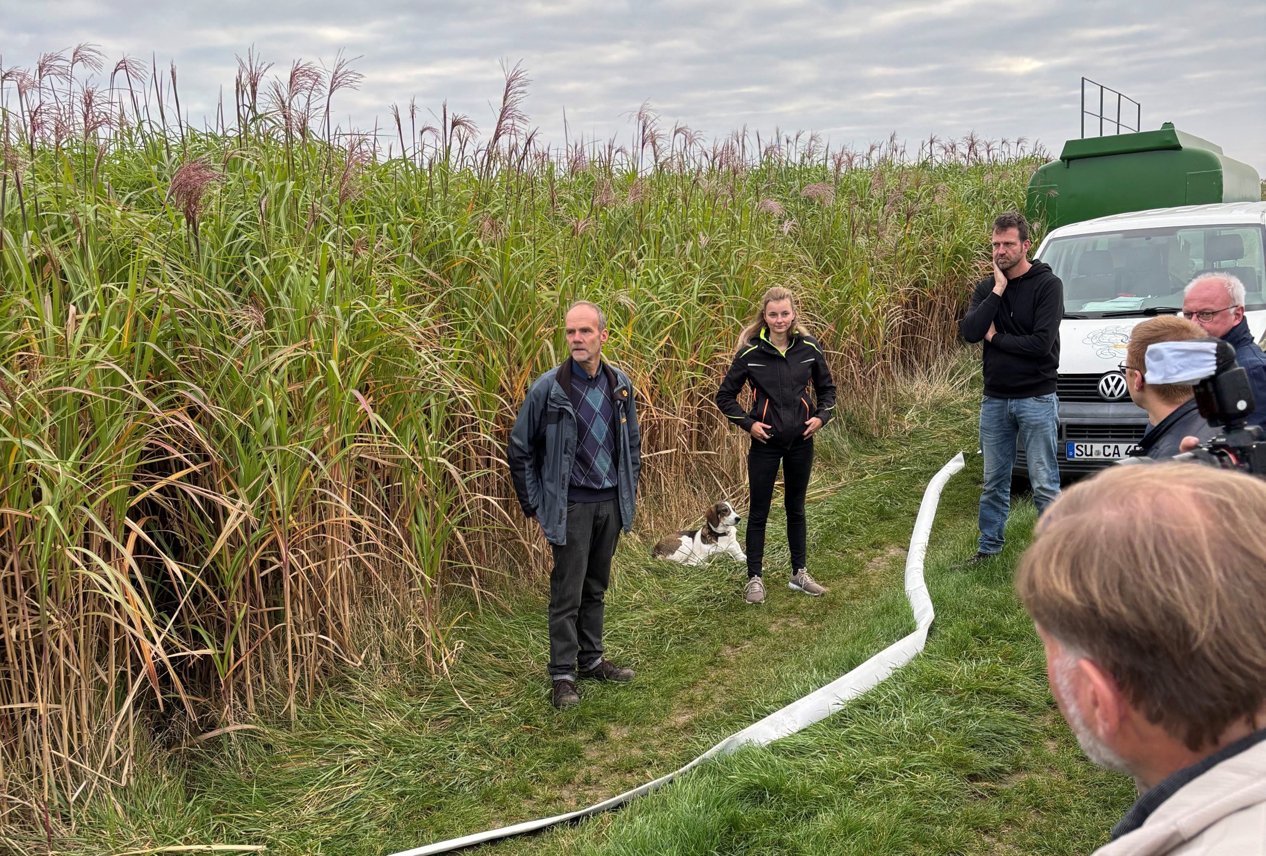 Miscanthus als natürlicher Hochwasserschutz