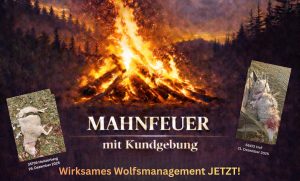 MahnfeuerPlakat Homepage 300x181