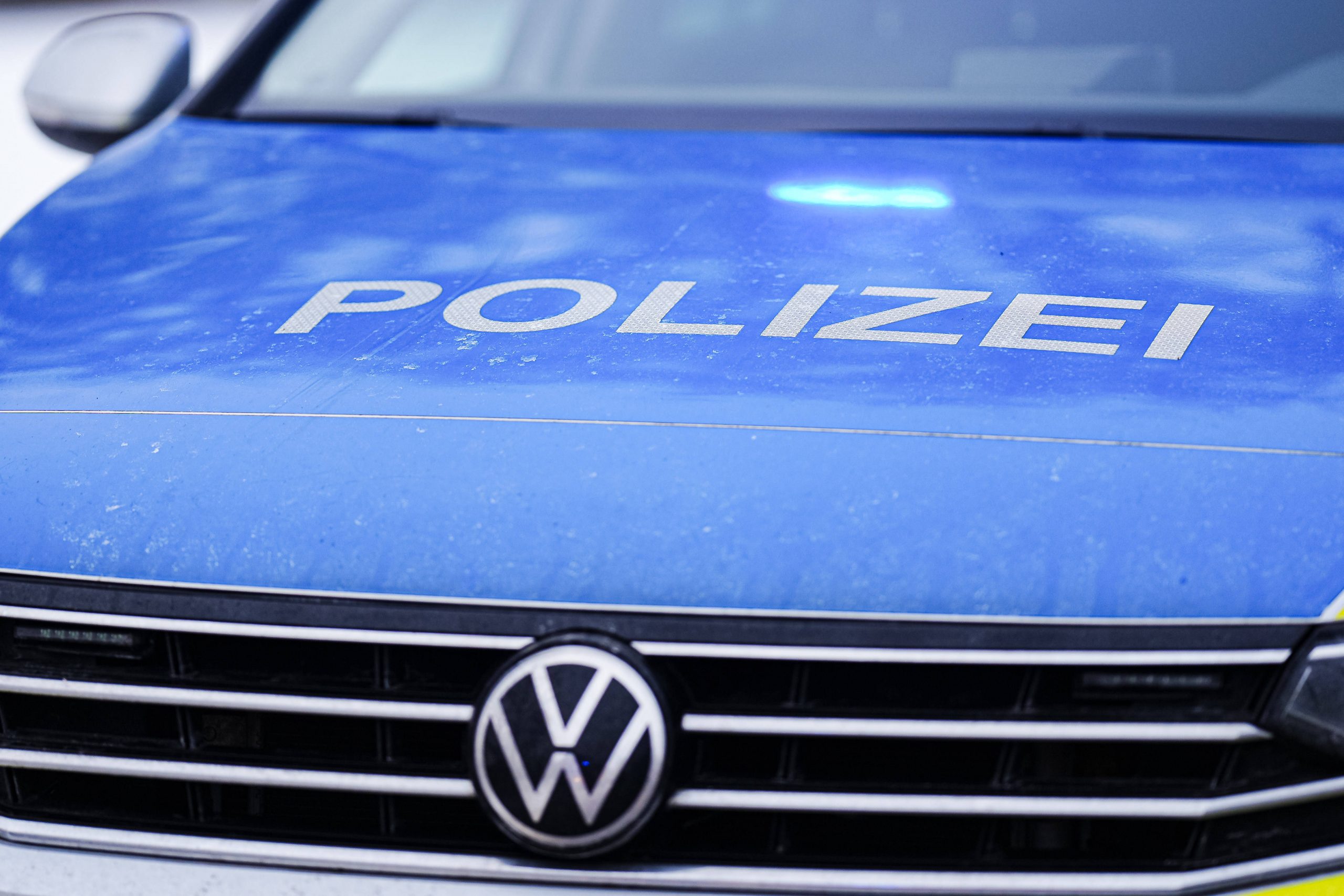 BWV-Präsident Marco Weber: Keine Polizeikosten bei wolfsbedingten Vorfällen!