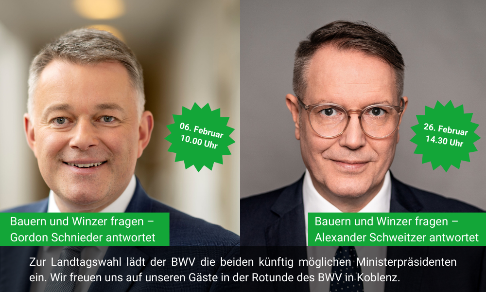 HomepageNewstitel 53 1