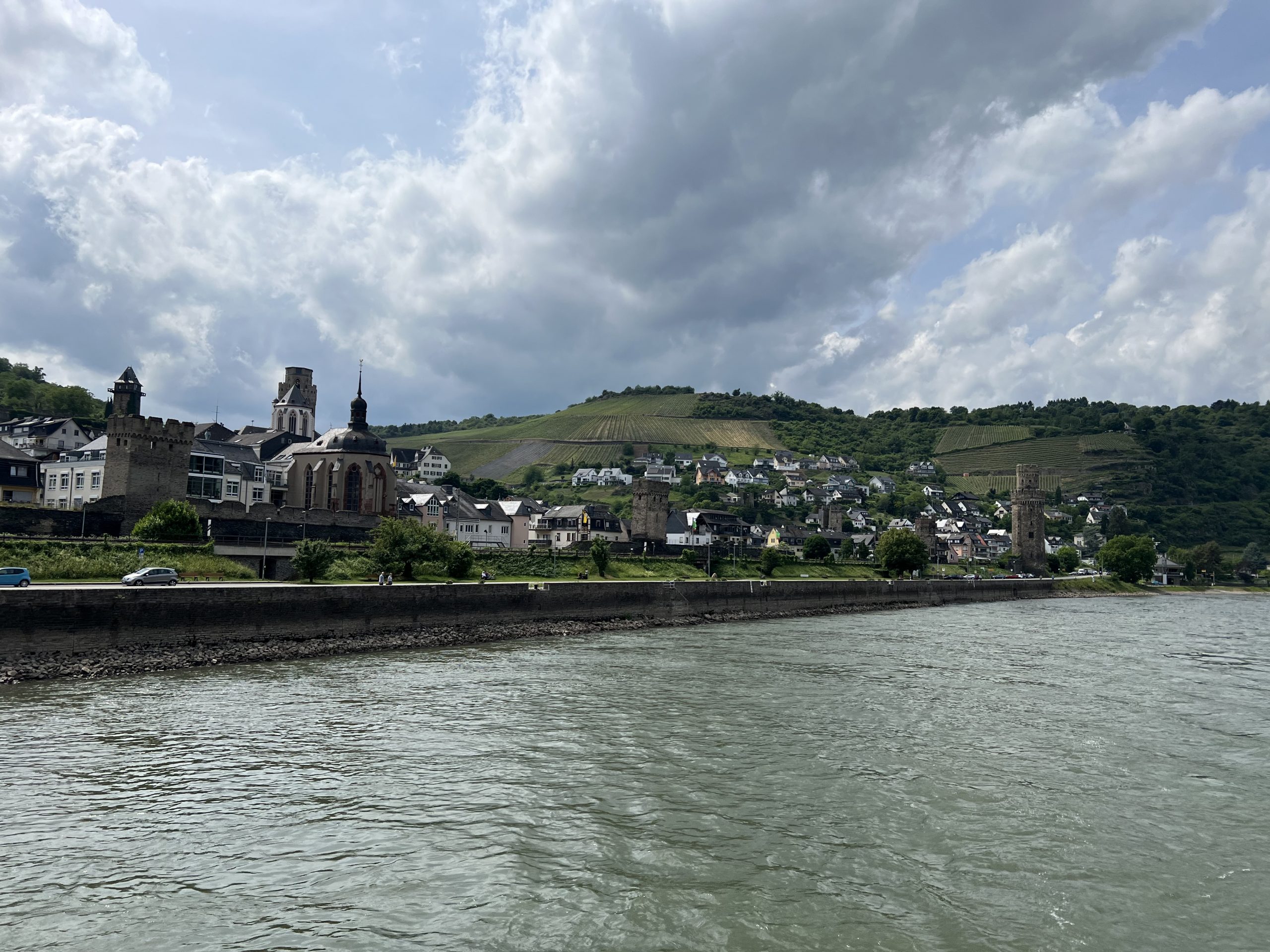 Mittelrhein-Weinbautag 2026