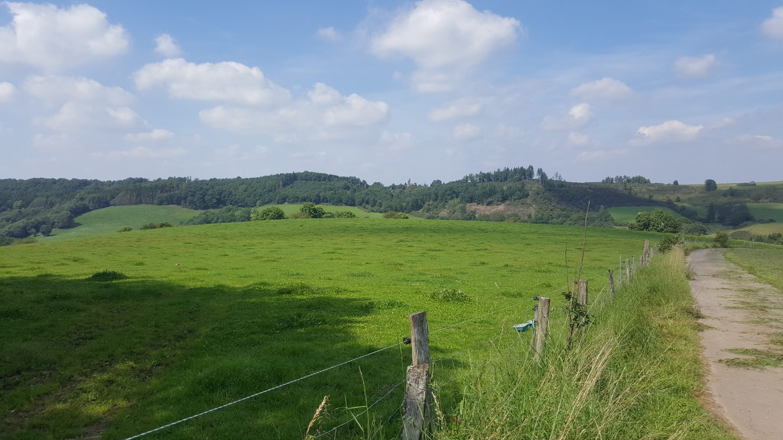 Naturwiederherstellungsverordnung – BWV: Umweltministerium muss Gebietskulissen melden