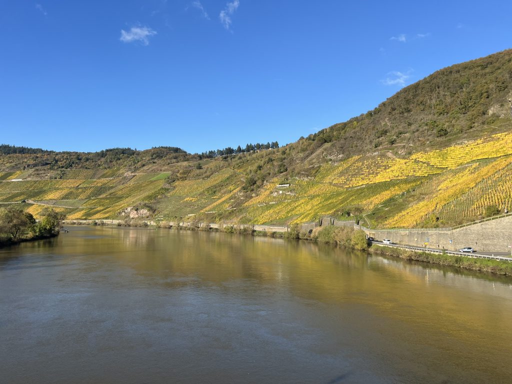 IMG 0708 Hendgen 1024x768