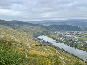 IMG 0805 Hendgen 300x225